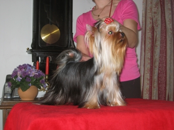 RAFFY Žlutá Řeka